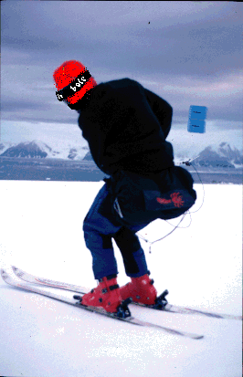 Paraskiing in Antarctica