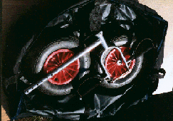 Then the stem