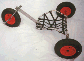 Spider8